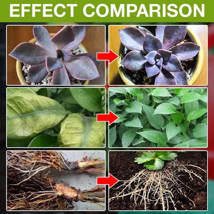 Plant Growth Enhancer Supplement